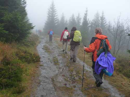Harz-121013-039
