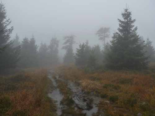 Harz-121013-062