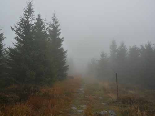 Harz-121013-076