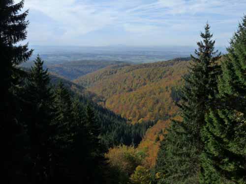 Harz-121013-267