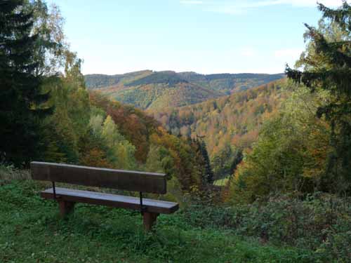 Harz-121013-313