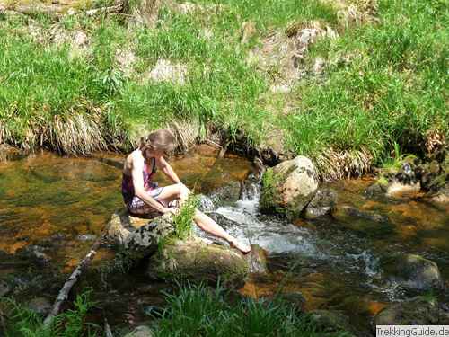 Bad in der Bode, Harz