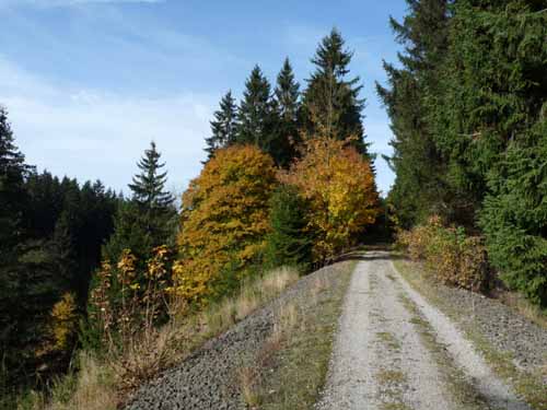 Harz-Mountainbike-121020-008