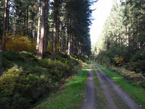 Harz-Mountainbike-121020-010