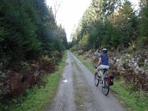 Harz-Mountainbike-121020-014