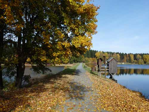 Harz-Mountainbike-121020-017