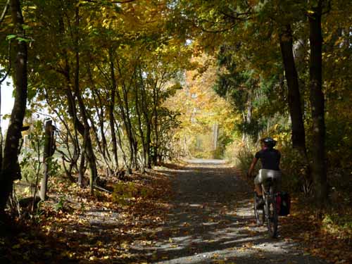 Harz-Mountainbike-121020-020
