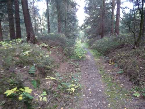 Harz-Mountainbike-121020-023