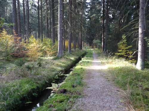 Harz-Mountainbike-121020-026