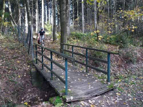 Harz-Mountainbike-121020-029