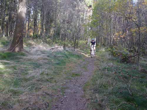 Harz-Mountainbike-121020-031