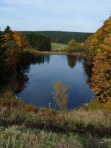 Harz-Mountainbike-121020-043