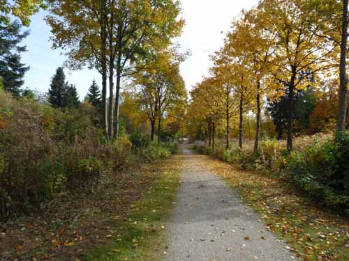 Harz-Mountainbike-121020-045