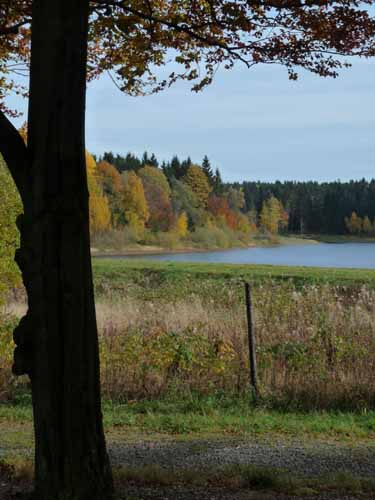 Harz-Mountainbike-121020-049