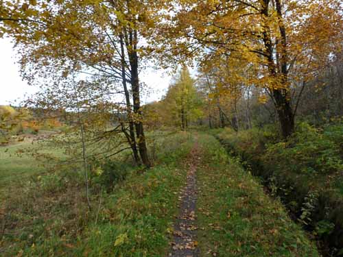 Harz-Mountainbike-121020-052