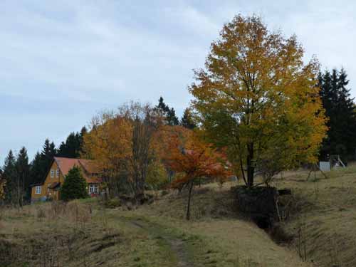 Harz-Mountainbike-121020-067