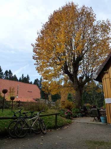 Harz-Mountainbike-121020-076