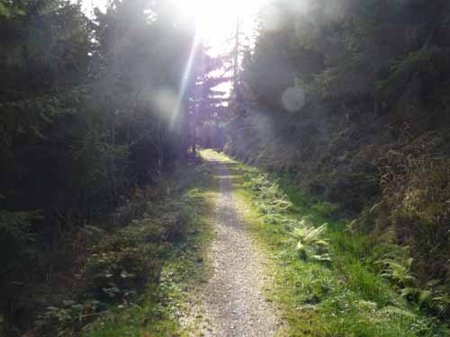 Harz-Mountainbike-121020-093