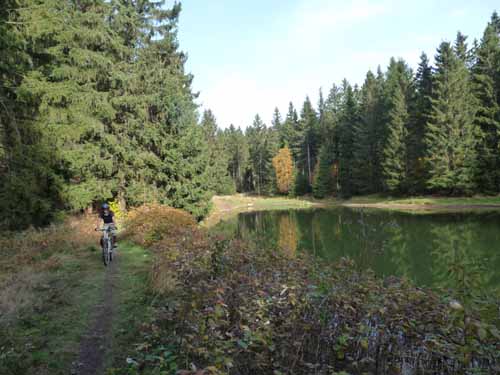 Harz-Mountainbike-121020-098