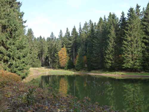 Harz-Mountainbike-121020-100