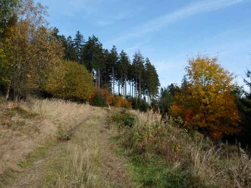 Harz-Mountainbike-121020-105