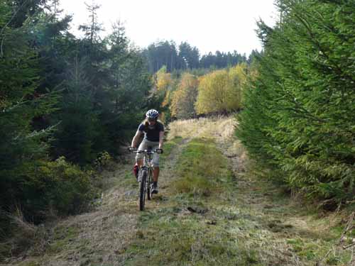 Harz-Mountainbike-121020-108