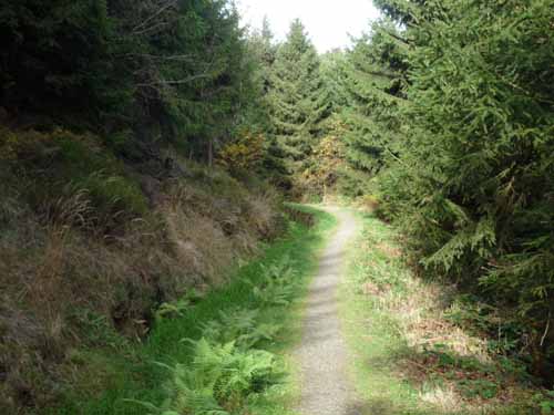 Harz-Mountainbike-121020-110