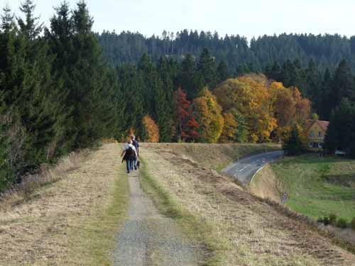 Harz-Mountainbike-121020-113