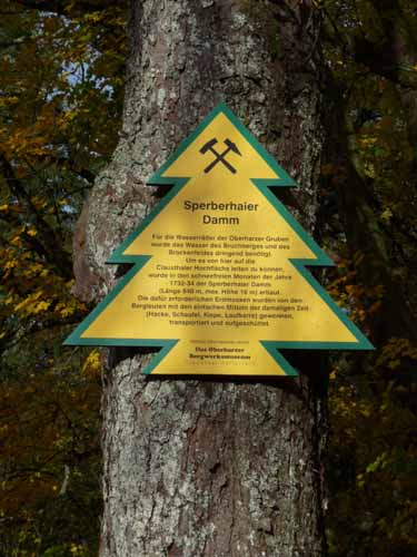 Harz-Mountainbike-121020-119