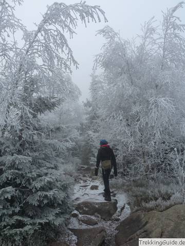 Hohneklippen, Harz