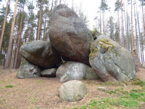 Froschfelsen im Wald