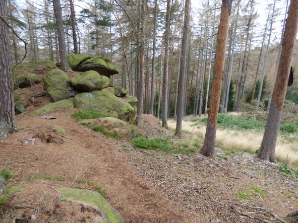 Westerklippe bei Ilsenburg