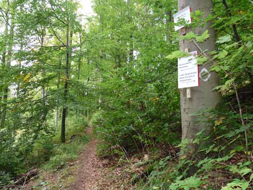 121003_Kupferhuette_32