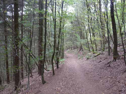 121003_Kupferhuette_57