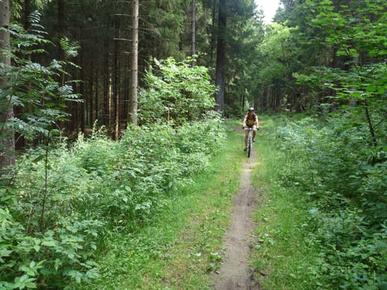 100731-Spiegeltaltrail-555