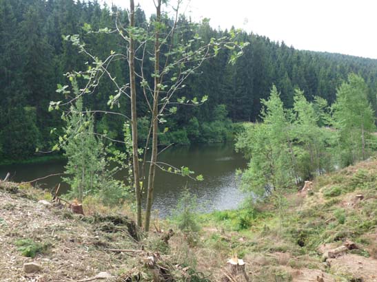 100731-Spiegeltaltrail-560