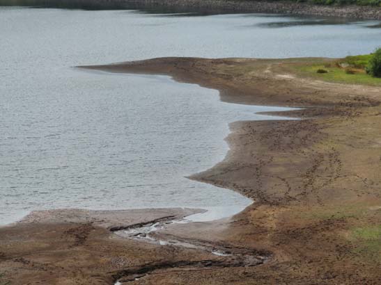 100731-Spiegeltaltrail-570