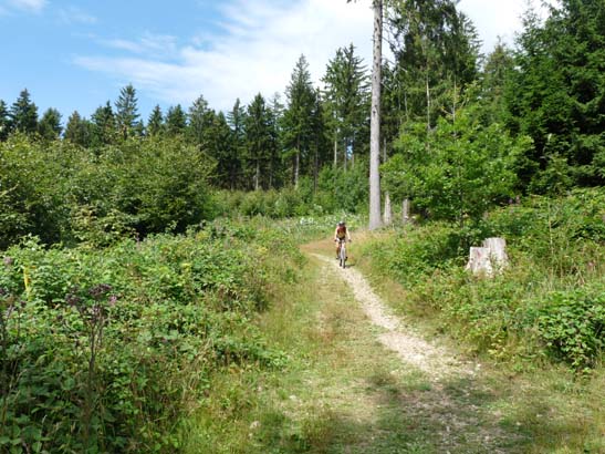 100731-Spiegeltaltrail-574