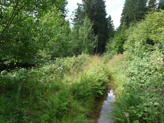 100731-Spiegeltaltrail-576