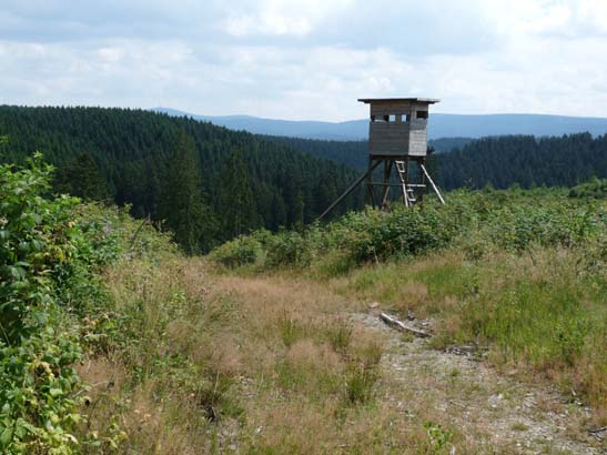 100731-Spiegeltaltrail-581