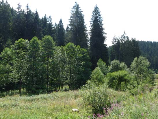 100731-Spiegeltaltrail-585