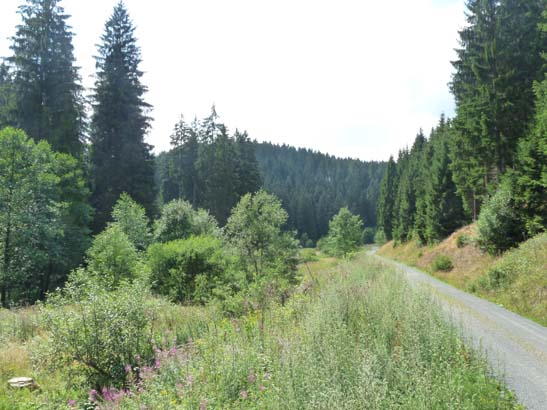 100731-Spiegeltaltrail-586