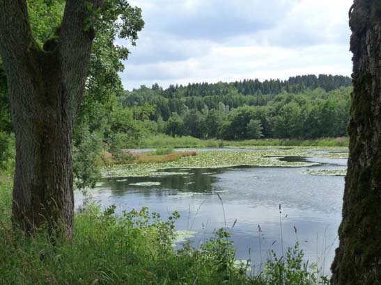 100731-Spiegeltaltrail-594