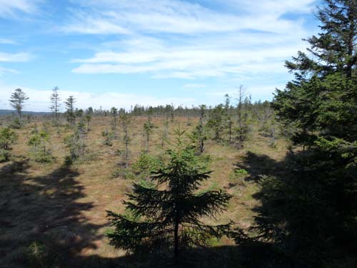 07-Oderbrueck-Brocken-Torfhaus-001