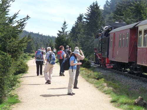 07-Oderbrueck-Brocken-Torfhaus-011