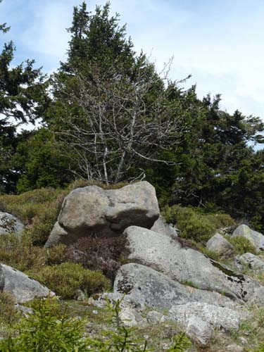 07-Oderbrueck-Brocken-Torfhaus-016
