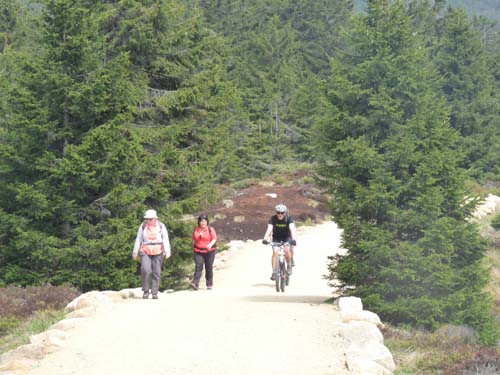 07-Oderbrueck-Brocken-Torfhaus-053