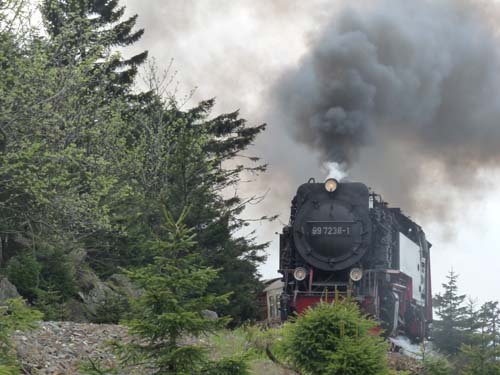 07-Oderbrueck-Brocken-Torfhaus-059