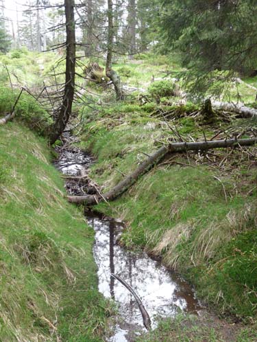 07-Oderbrueck-Brocken-Torfhaus-063
