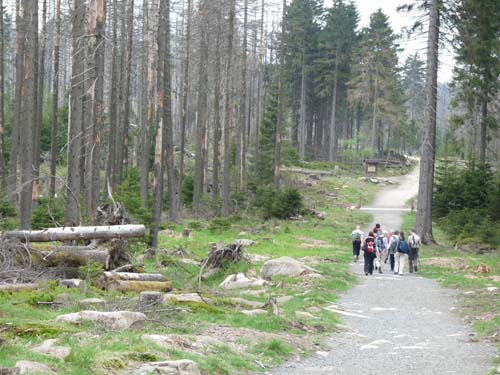 07-Oderbrueck-Brocken-Torfhaus-069